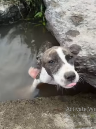 Courage saved a soul (Part 2)