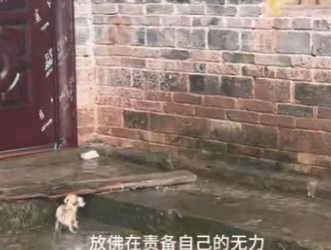 mother love her child is boundless (Part 2)