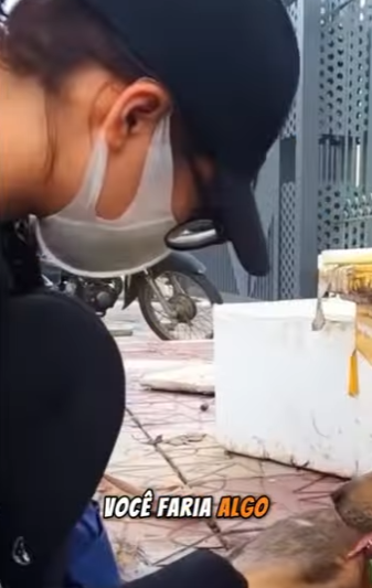 U1512004 Encontrar um cãozinho acorrentado com boca presa por fita de co (Parte 2)