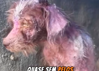 U1512005_Olha como ele se transformou! (Parte 2)