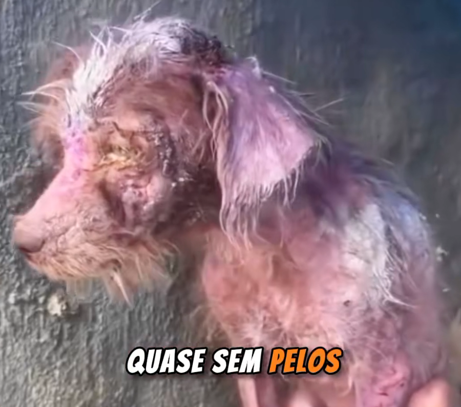 U1512005_Olha como ele se transformou! (Parte 2)