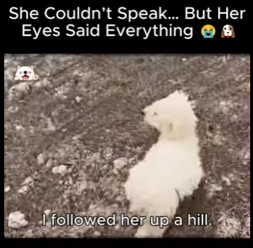 She Couldn Speak But Her Eyes Said Everything (Part 2)