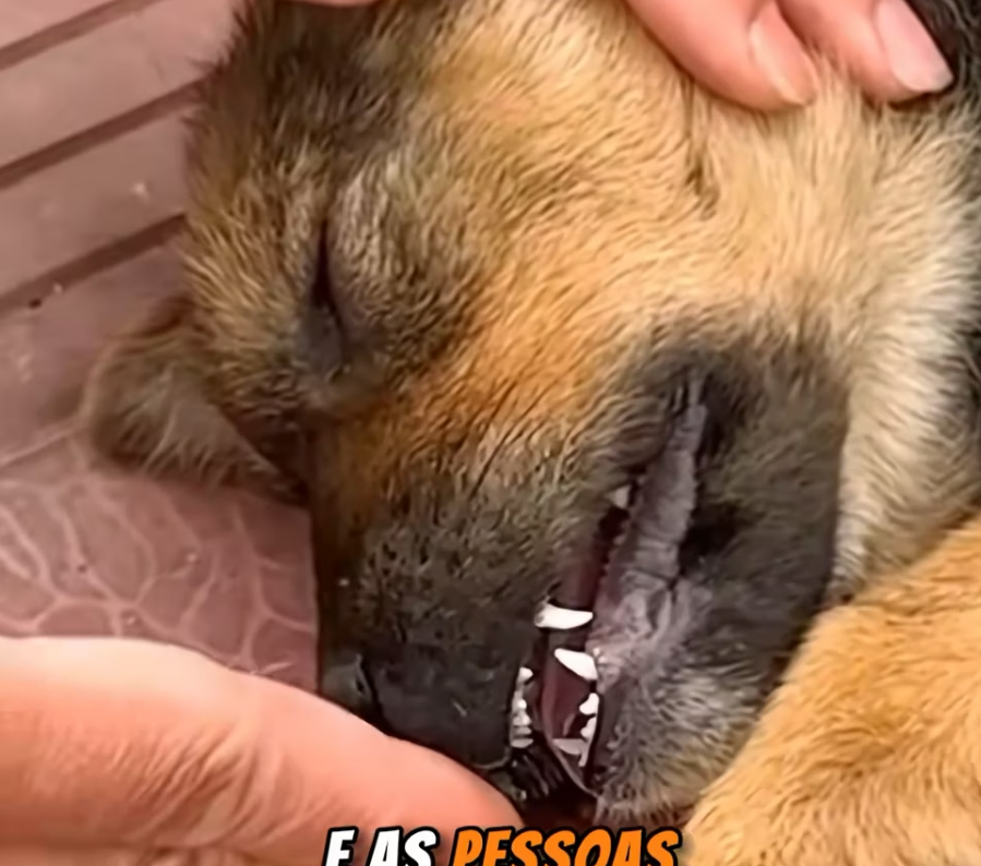 U1512001Esse anjinho estava desacordado na calçada Não sei como tiveram cor (Parte 2)