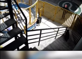 H1512002 Rottweiler enfrenta delincuentes frustra un asalto armado (Parte 2)