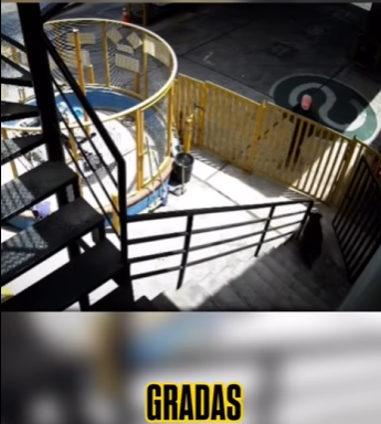 H1512002 Rottweiler enfrenta delincuentes frustra un asalto armado (Parte 2)