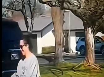 V1512002 llevaba meses sin ver su dueña la reconoció instantáneamente (Parte 2)