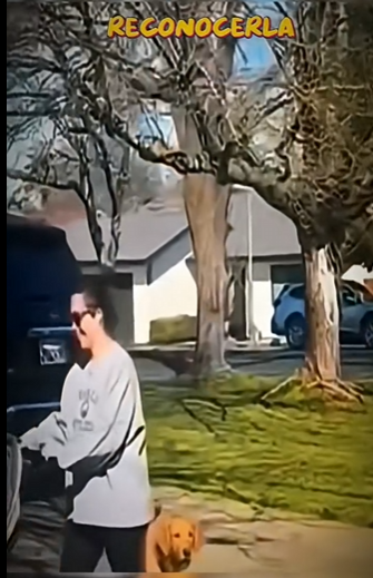 V1512002 llevaba meses sin ver su dueña la reconoció instantáneamente (Parte 2)