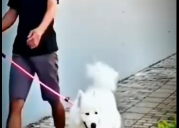 V1512001 el reencuentro más bonito que verás hoy (Parte 2)