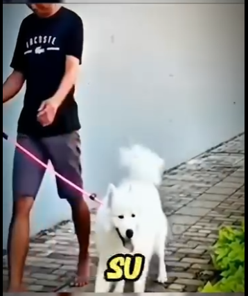 V1512001 el reencuentro más bonito que verás hoy (Parte 2)