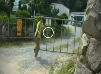 V1512006 llegó su casa jamás quiso salir (Parte 2)