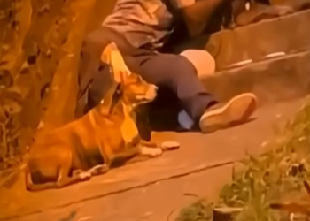 V1512004 El solo quería estar con sus dos amigos (Parte 2)