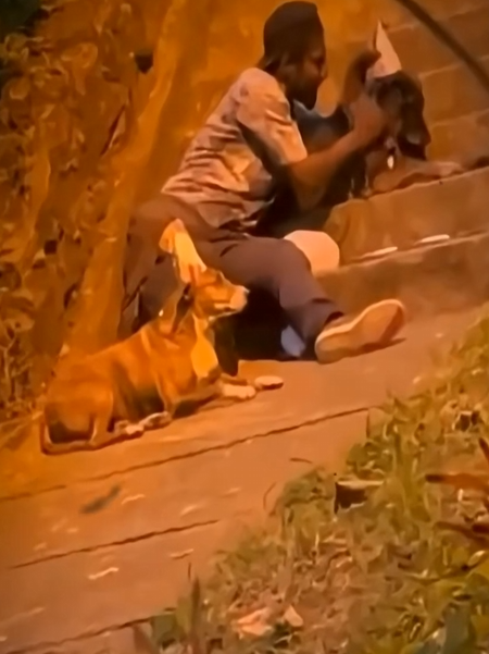 V1512004 El solo quería estar con sus dos amigos (Parte 2)