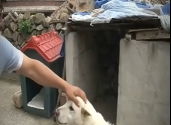 V1617009 Hora de llorar (Parte 2)