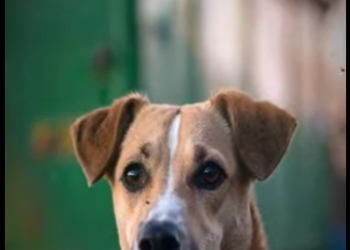 V1617003 lo echaron con todo su ropita (Parte 2)