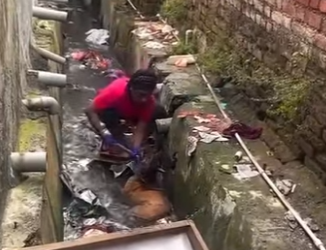 U1617009 pobre cãozinho resgatado do esgoto (Parte 2)