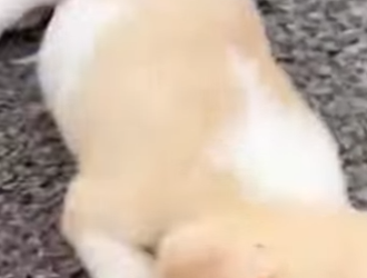 U1617001 Eles só queriam uma chance encontraram (Parte 2)