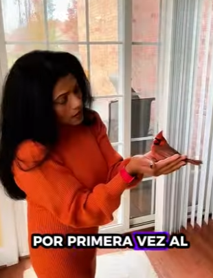 R1612005 Cardenal de rescate (Parte 2)