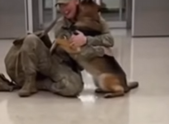 H1617002 Así reacciona esta mascota cuando por fin ve su dueño después de (Part 2)