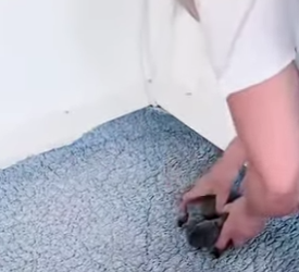 H1617008 aprendiendo ser madre (Part 2)