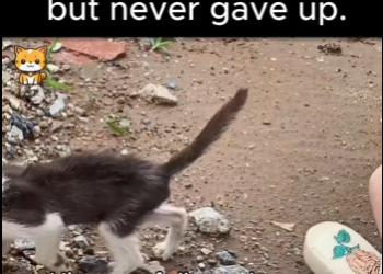 He was left behind but never gave up (Part 2)