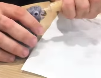 R1712002 Loros de rescate (Parte 2)