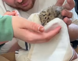 R1712007 Gaviotas de rescate (Parte 2)