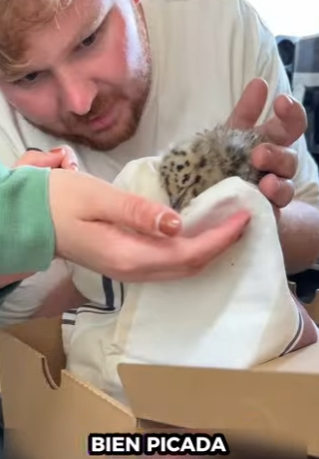 R1712007 Gaviotas de rescate (Parte 2)