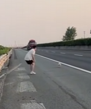 A1712004 Rescatar los lechones (Parte 2)