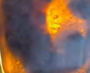 A1712008 Una niña encontró algo extraño en la playa (Parte 2)