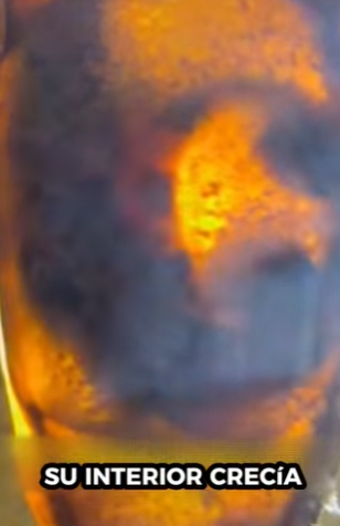 A1712008 Una niña encontró algo extraño en la playa (Parte 2)