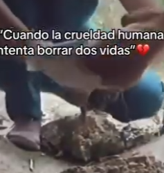 F1712004 Cuando la crueldad humana intenta borrar dos vidas (Parte 2)