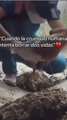F1712004 Cuando la crueldad humana intenta borrar dos vidas (Parte 2)