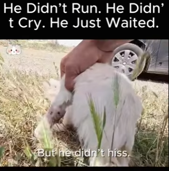 He Didn Run (Part 2)