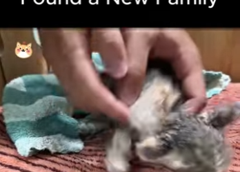 She Lost Her Mom, But Found Family (Part 2)