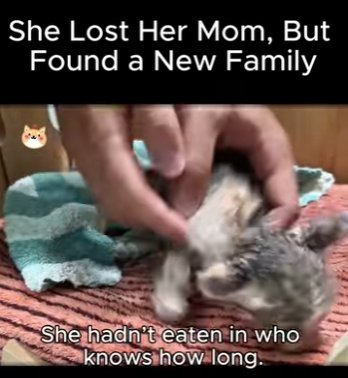 She Lost Her Mom, But Found Family (Part 2)