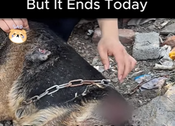 D1712002 He Grew Old in Chains (Part 2)