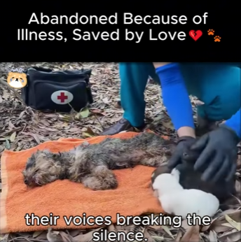 D1712003 Abandoned Because of Illness, Saved by Love (Part 2)