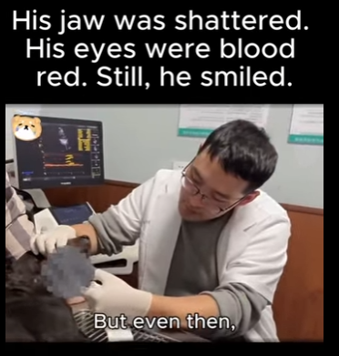 D1712006 His jaw was shattered (Part 2)