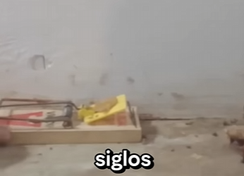 G1920009 Así Evolucionan estos (Parte 2)