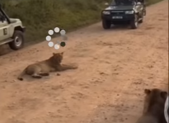 G1920004 Personas que se Jugaron la Vida con estos (Parte 2)