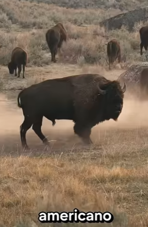 G1920010 Animales Más Grandes de lo que (Parte 2)