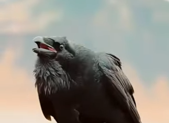 G1920006 Animales Prohibidos en Algunos Países (Parte 2)