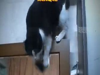 H1819008 Ella solo estába pidiendo ayuda (Parte 2)