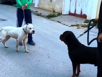 D1718009 Titanes Punto De Chocar, Pero Uno Se Impone Con Calma (Parte 2)