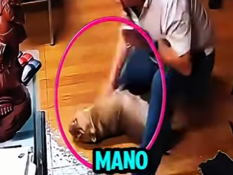 D1718008 Hombre Salva Su Perrito En Medio Del Susto (Parte 2)
