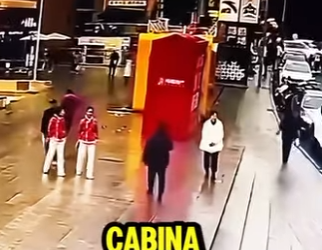 D1718003 Perrito Perdido Encuentra Su Dueña Tras Meses (Parte 2)