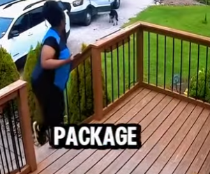 D1912003 Repartidora vive tenso momento con un husky vigilante (Parte 2)