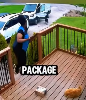 D1912003 Repartidora vive tenso momento con un husky vigilante (Parte 2)