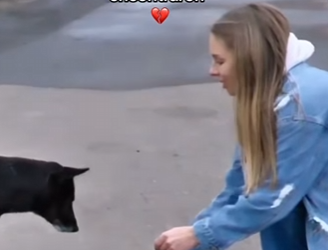 F1819004 Herido, solo sin esperanza así me encontraron (Parte 2)