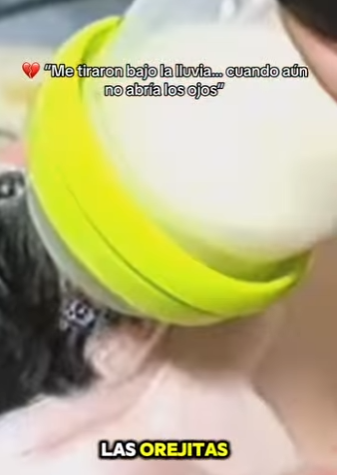 F1819005 Me tiraron bajo la lluvia cuando aún no abría los ojos (Parte 2)